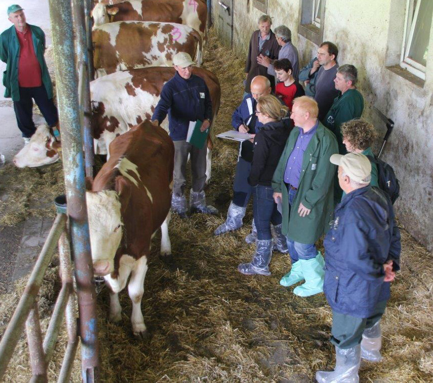 Treffen der Arbeitsgruppe Exterieur in Tschechien 2014