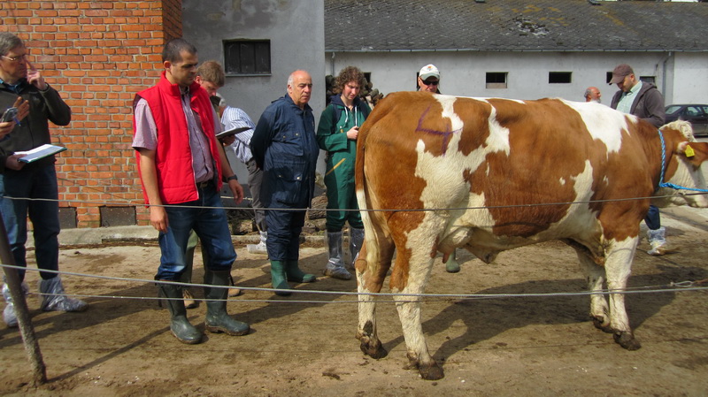 Exterieurbewertertreffen in Ungarn im Mai_2013