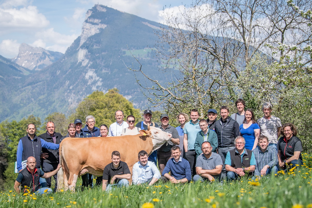 26 Experten und Expertinnen aus 10 verschiedenen Ländern nahmen am Treffen teil. Foto: Swissherdbook